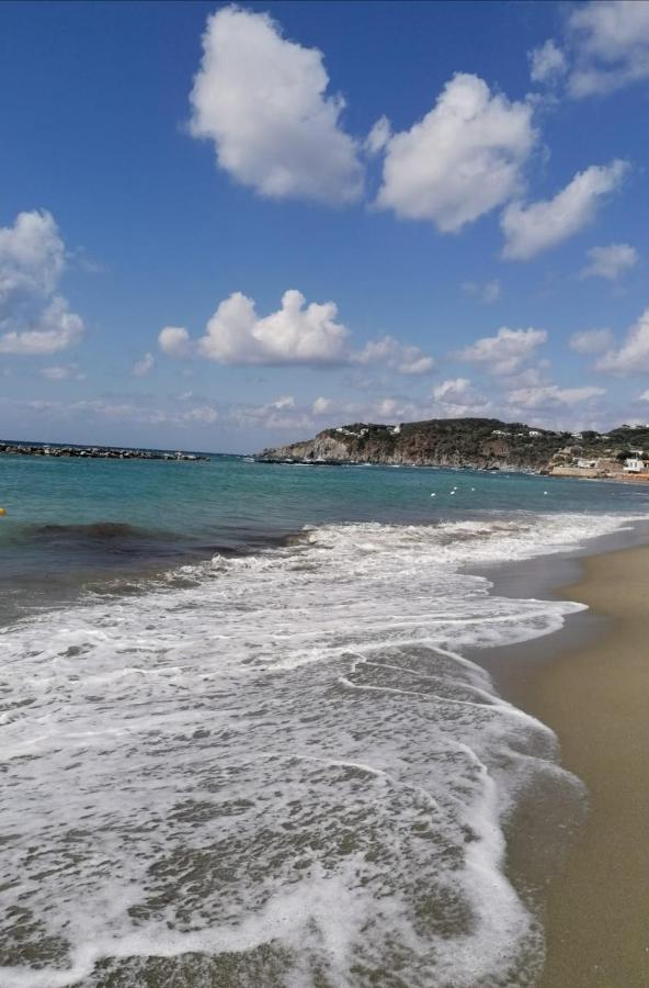 La Bicocca Di Annavi Bed and Breakfast Forio di Ischia Εξωτερικό φωτογραφία
