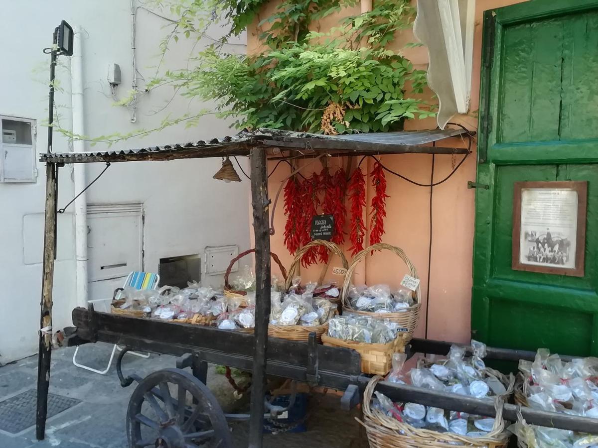 La Bicocca Di Annavi Bed and Breakfast Forio di Ischia Εξωτερικό φωτογραφία