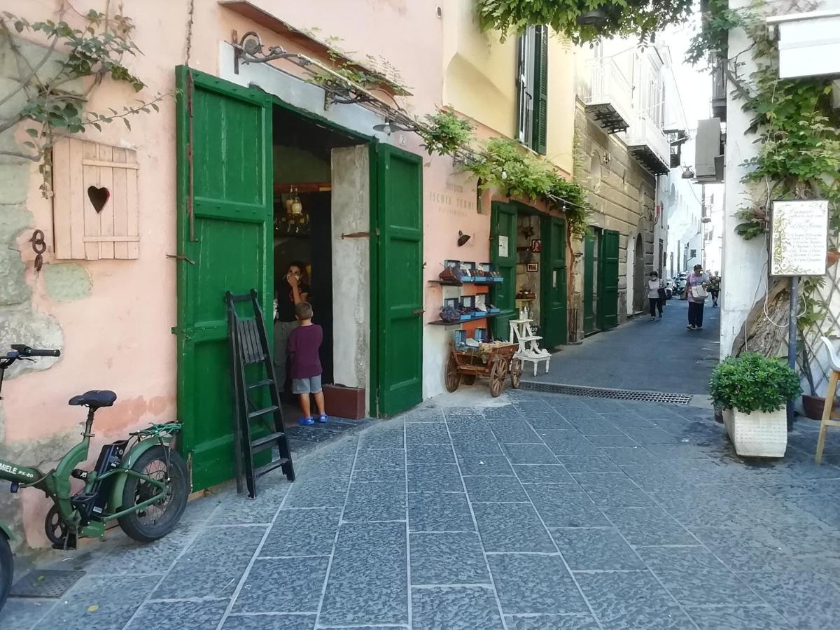 La Bicocca Di Annavi Bed and Breakfast Forio di Ischia Εξωτερικό φωτογραφία