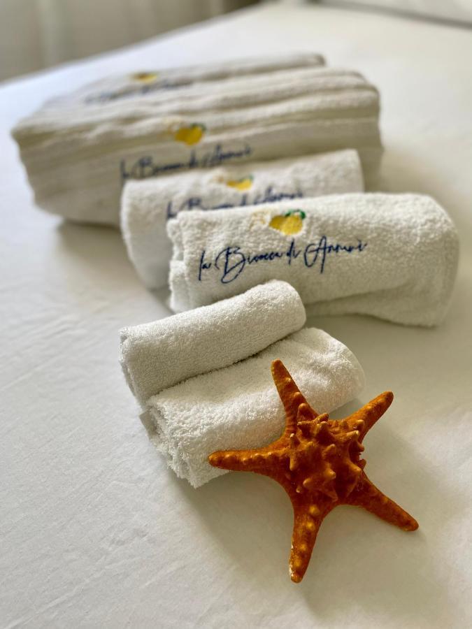 La Bicocca Di Annavi Bed and Breakfast Forio di Ischia Εξωτερικό φωτογραφία