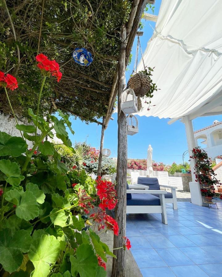 La Bicocca Di Annavi Bed and Breakfast Forio di Ischia Εξωτερικό φωτογραφία