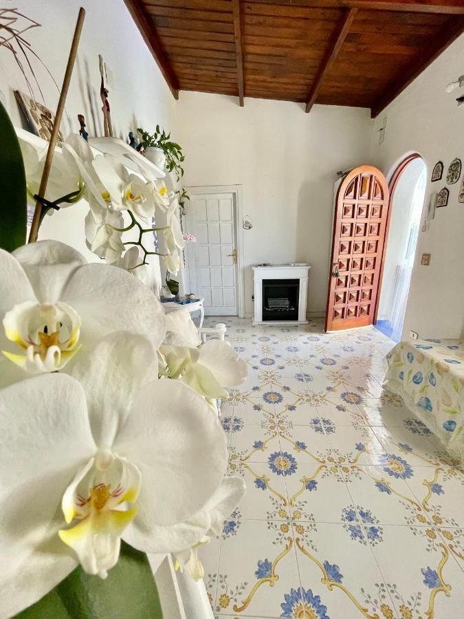 La Bicocca Di Annavi Bed and Breakfast Forio di Ischia Εξωτερικό φωτογραφία