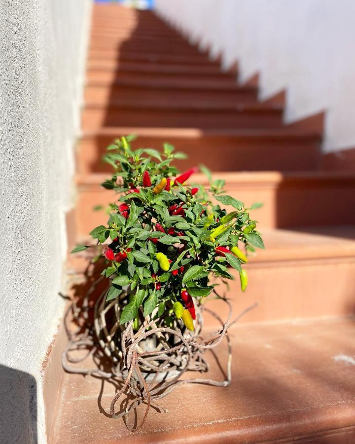 La Bicocca Di Annavi Bed and Breakfast Forio di Ischia Εξωτερικό φωτογραφία