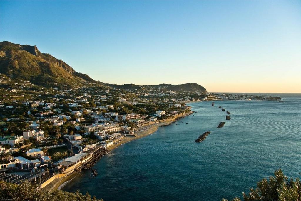 La Bicocca Di Annavi Bed and Breakfast Forio di Ischia Εξωτερικό φωτογραφία